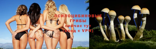 сатива Богданович