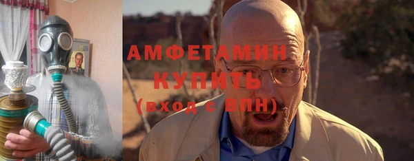 сатива Богданович