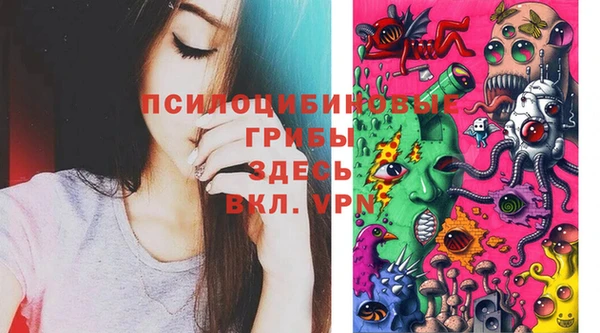 первитин Богородицк