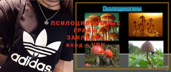 сатива Богданович